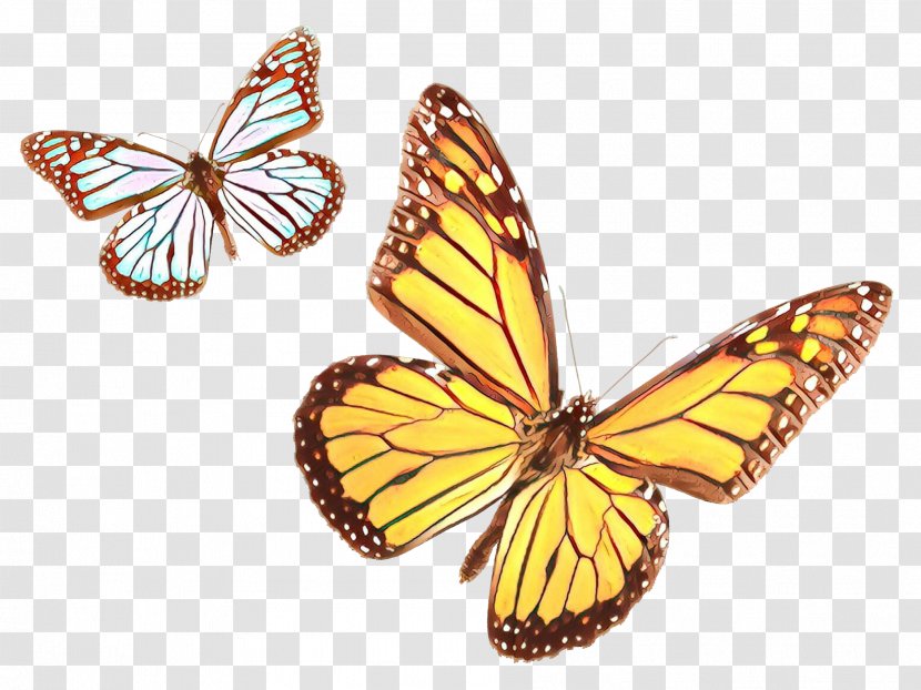 Monarch Butterfly - Invertebrate - Animal Figure Symmetry Transparent PNG