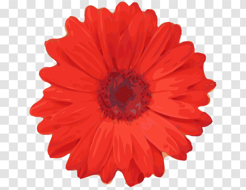 Flower Red Poppy Clip Art Transparent PNG