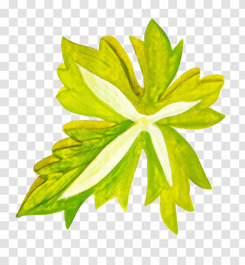Leaf Watercolor Painting Google Images Icon - Leaves Transparent PNG