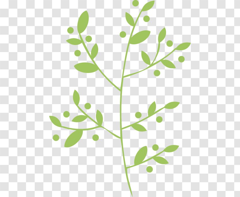 Twig Plant Stem Leaf Gift Tags & Labels Clip Art - Flowering - Singapore Vector Transparent PNG