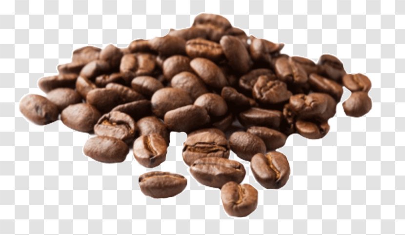 Jamaican Blue Mountain Coffee Espresso Arabica Kona - Bean - Beans Wedding Favor Transparent PNG