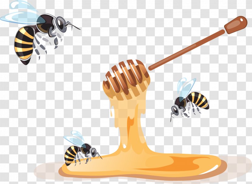 Bee Illustration Vector Graphics Clip Art Apiary - Honeycomb - Caat Cartoon Transparent PNG