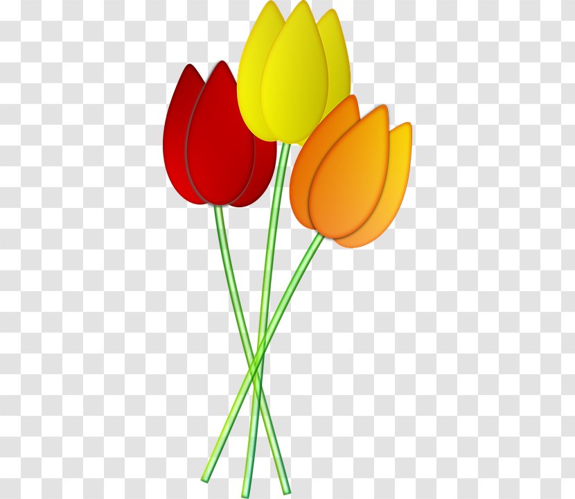 Lily Flower Cartoon - Tulip - Pedicel Plant Stem Transparent PNG
