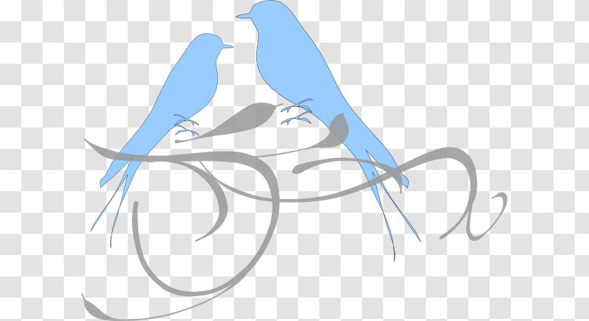 Lovebird Clip Art - Branch - Bird Transparent PNG