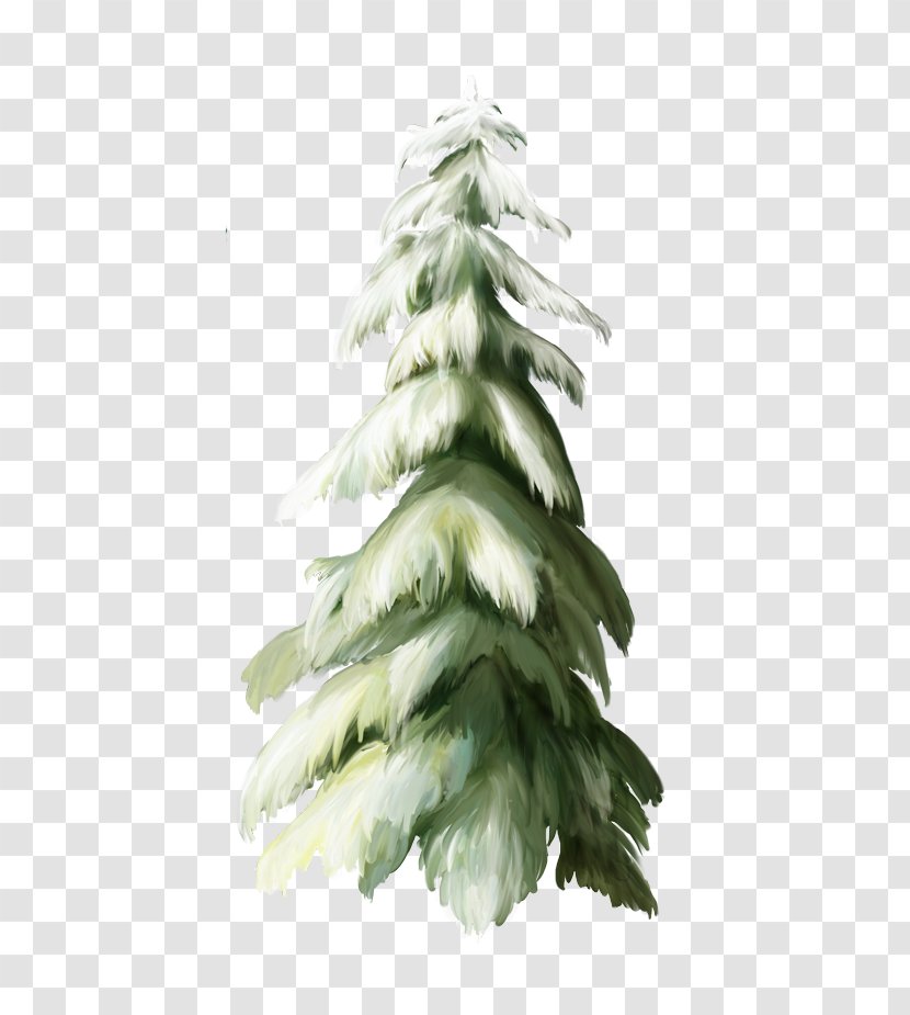Spruce Christmas Tree Fir - New Year Transparent PNG