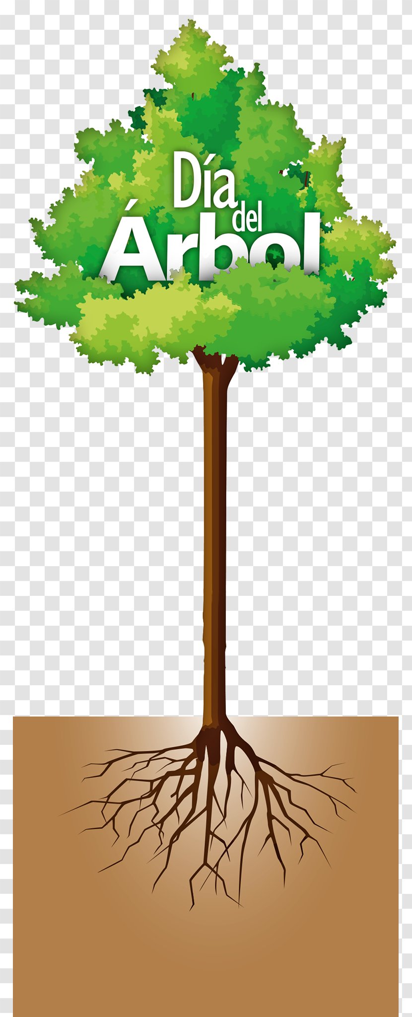 Tree Arbor Day Alcorque Earth Transparent PNG