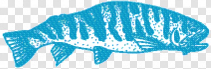 Whale Cartoon - Fish - Bowhead Transparent PNG