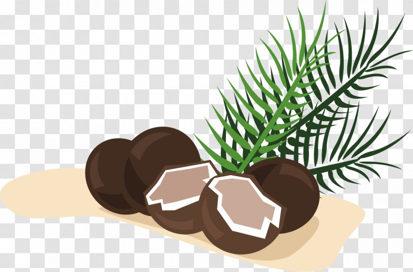 Coconut Clip Art Transparent PNG