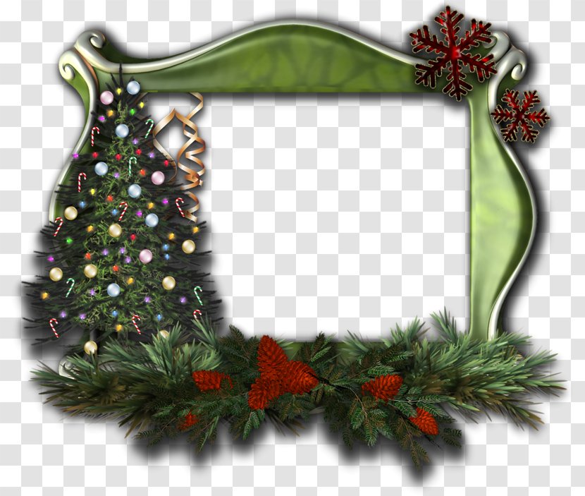 Picture Frames Christmas PhotoScape - Pine Family - Mall Decoration Transparent PNG