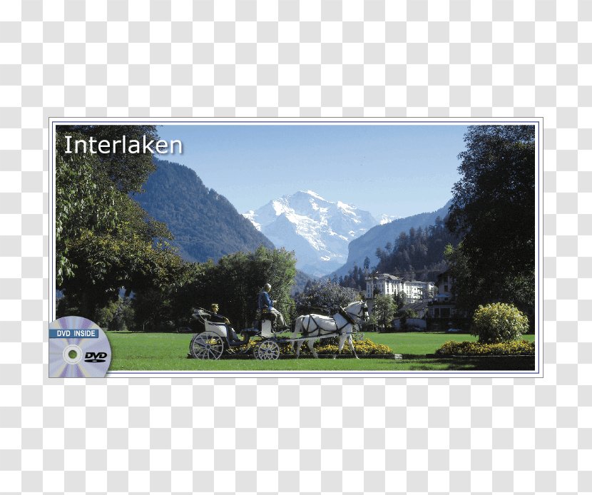 Interlaken Grindelwald Lake Thun Wengen Chalet-Gafri - Hill Station - Bed & Breakfast ****Bed And BreakfastHotel Transparent PNG