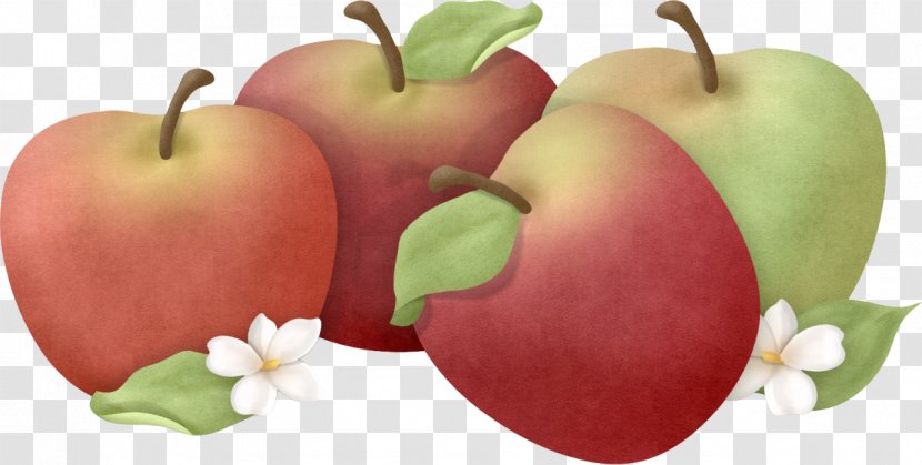 Food Apple Fruits Et Légumes Auglis - L%c3%a9gumes Transparent PNG