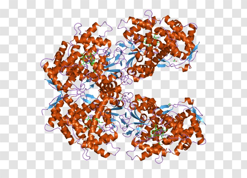 Cytochrome P450 CYP2A13 CYP2A6 Protein Mixed-function Oxidase - Flower - Silhouette Transparent PNG