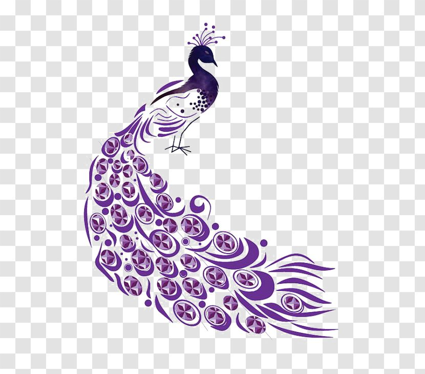 Peafowl Illustration - Fictional Character - Purple Peacock Transparent PNG