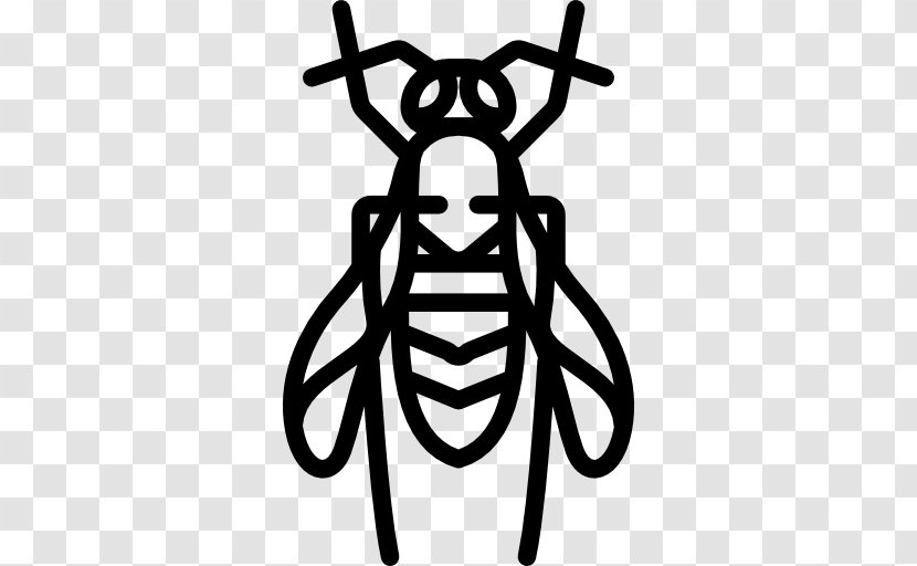 Insect Entomology - Monochrome Photography - Wasp Transparent PNG