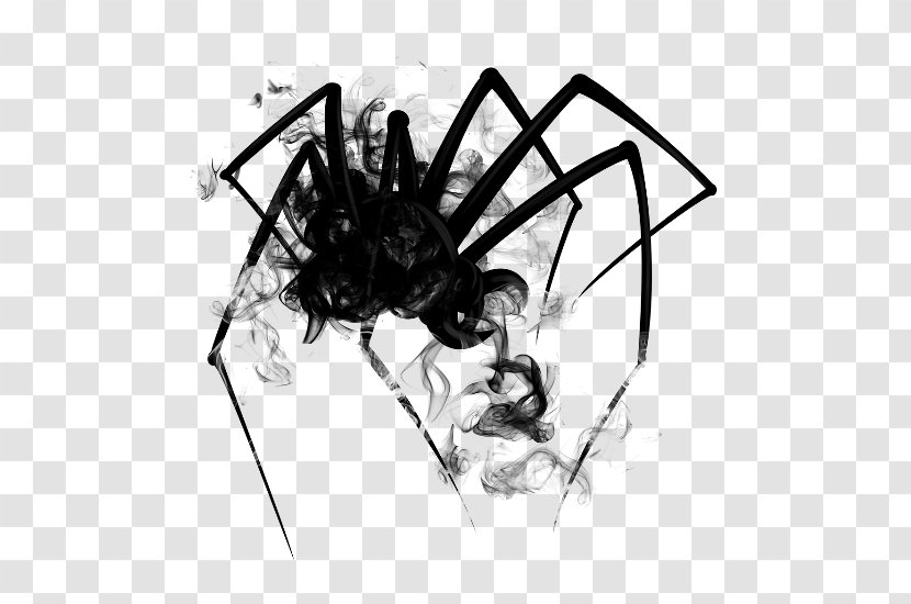 Widow Spiders Sticker PicsArt Photo Studio Drawing - Invertebrate - Spider Transparent PNG