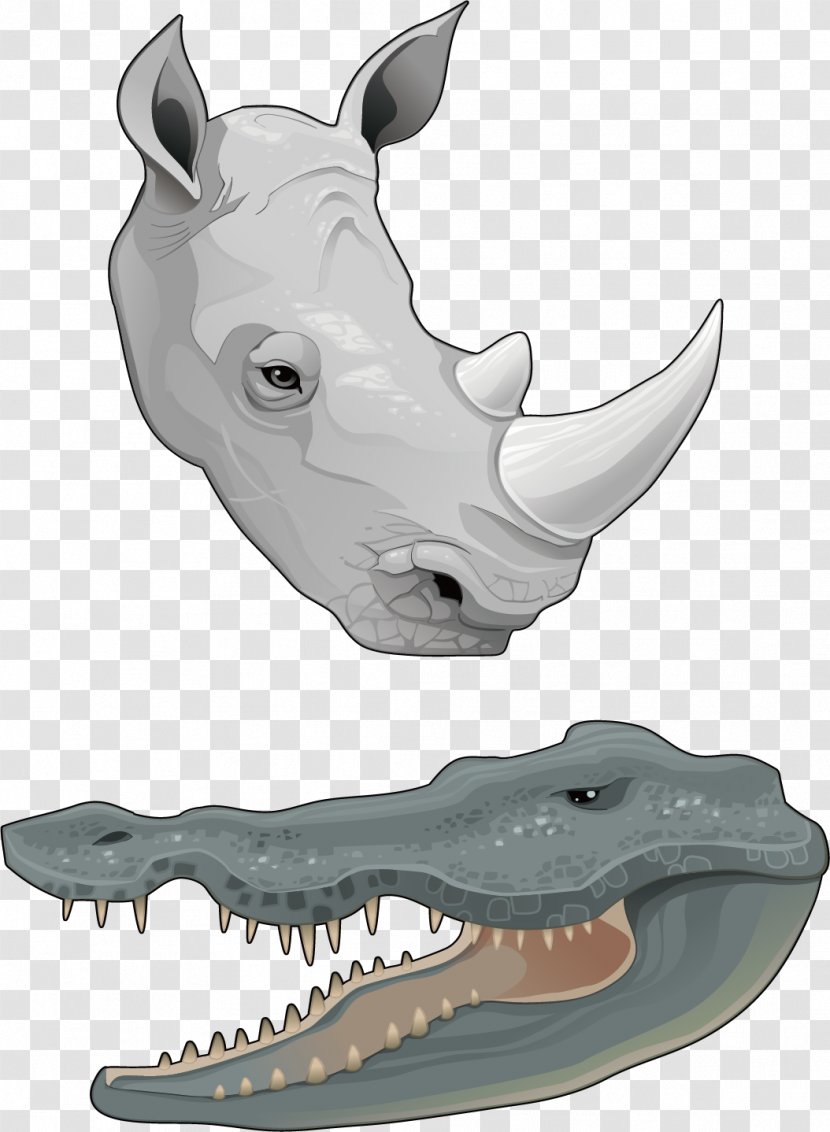 Rhinoceros Horn Euclidean Vector Animal - Amphibian - Two Kinds Of Amphibians Transparent PNG