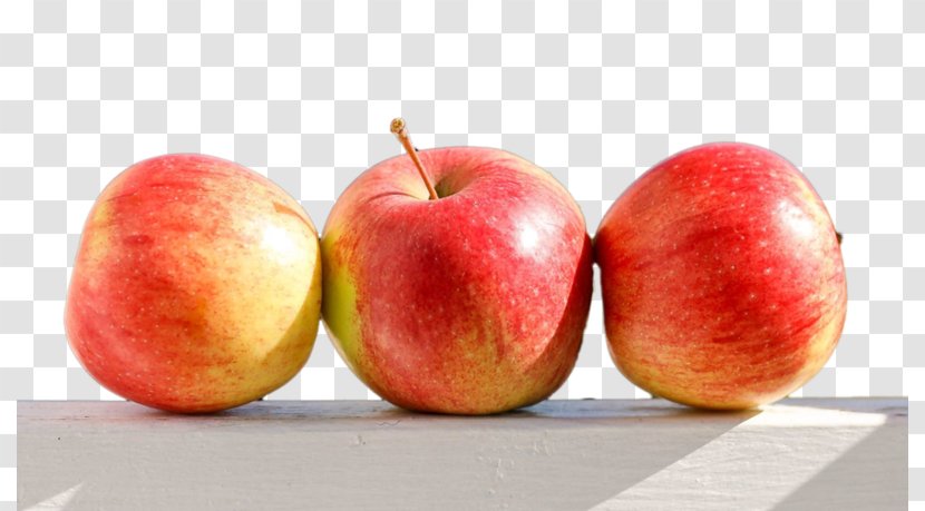 Painting Food Paradise Apple Transparent PNG