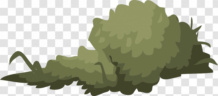 Shrub Drawing Clip Art - Royaltyfree Transparent PNG