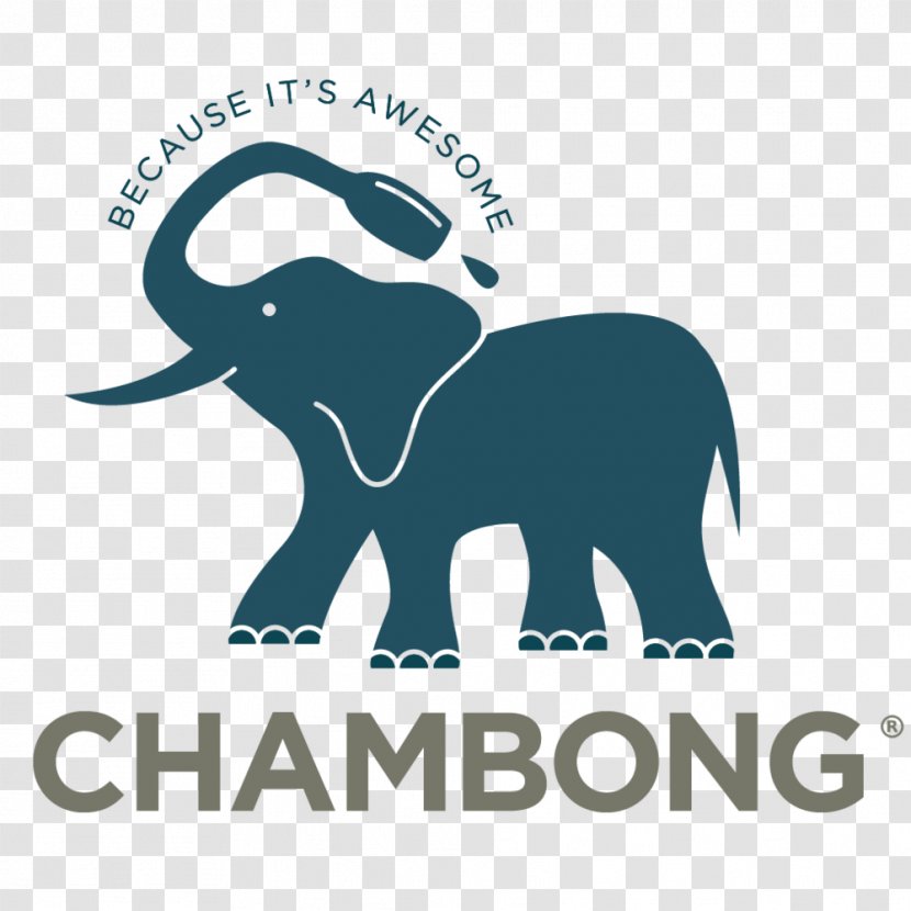 Indian Elephant African Logo Elephants Brand Transparent PNG