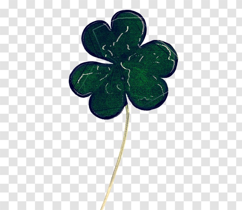 Shamrock - Plant - Symbol Transparent PNG