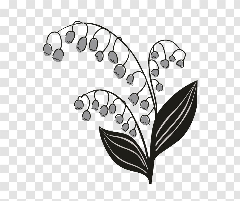 Drawing Visual Arts Monochrome - Plant - Lily Of The Valley Transparent PNG