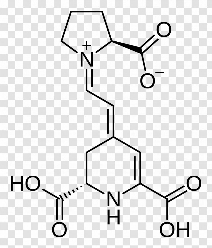 Acetylcysteine Essential Amino Acid Asparagine - Structure - Ax Transparent PNG
