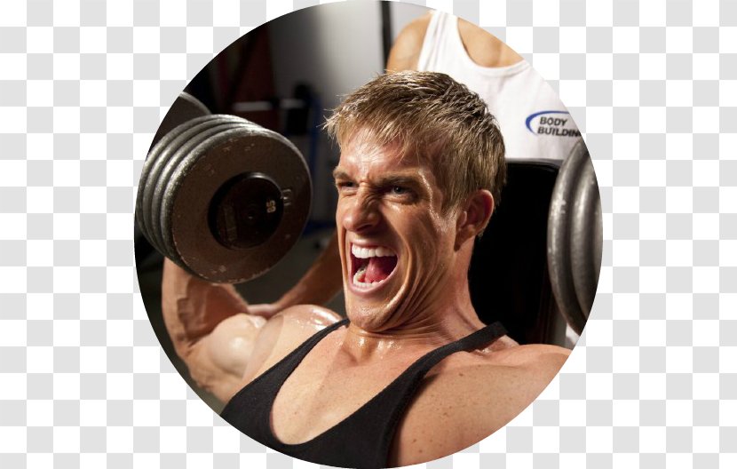 Fitness Centre Exercise Bodybuilding.com Weight Training - Watercolor - Bodybuilding Transparent PNG