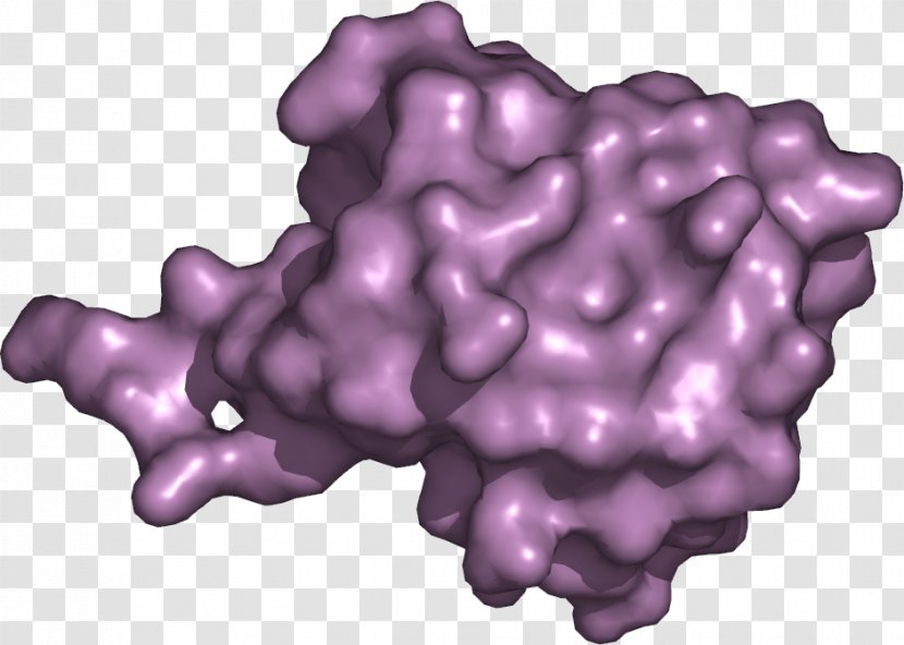 Ubiquitin Protein Cell Lysosome PyMOL - Pymol Transparent PNG