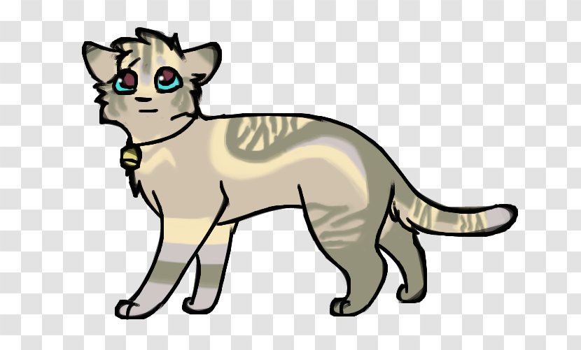 Whiskers Kitten Wildcat Lion - Puma Transparent PNG