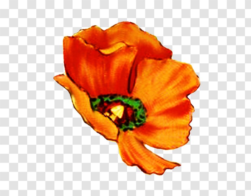 Flower Bouquet Poppy Digital Scrapbooking Clip Art - Drawing - Long Transparent PNG