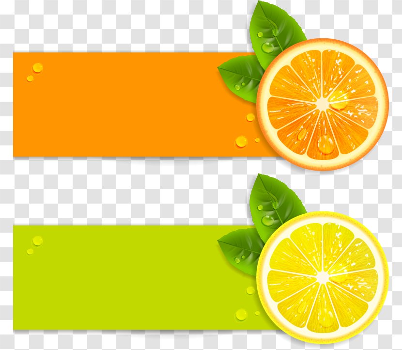 Juice Lemon Royalty-free Illustration - Fruit - Fresh Orange Vector Material Transparent PNG