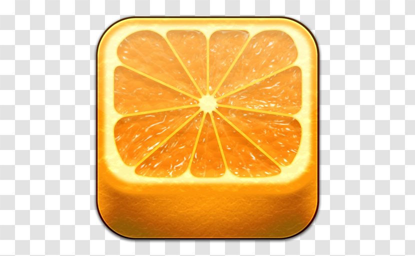 Food Citrus Fruit Orange - Art - Concentrate Transparent PNG