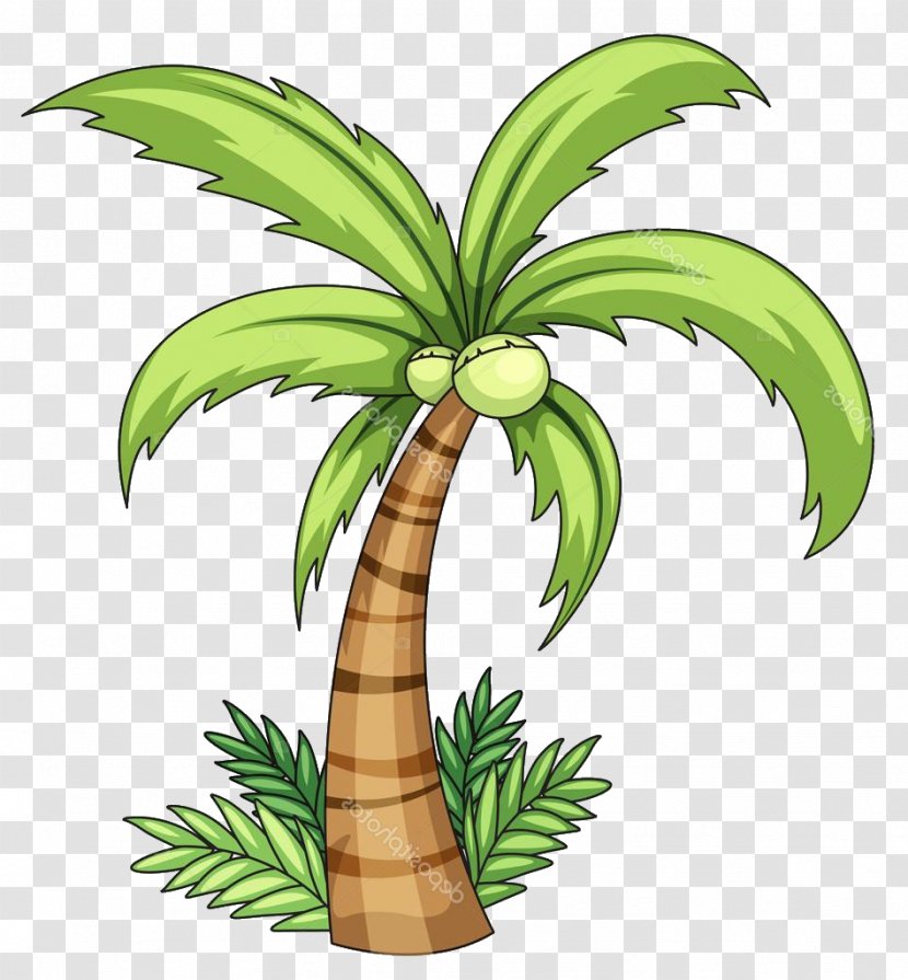 Vector Graphics Clip Art Stock Illustration Image - Photography - Coconut Tree Images Transparent PNG