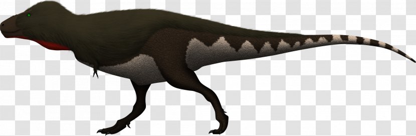 Tyrannosaurus Giganotosaurus Andesaurus Spinosaurus Nanotyrannus - T Rex Transparent PNG