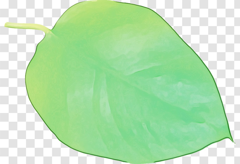 Leaf Green Plastic Plants Biology Transparent PNG