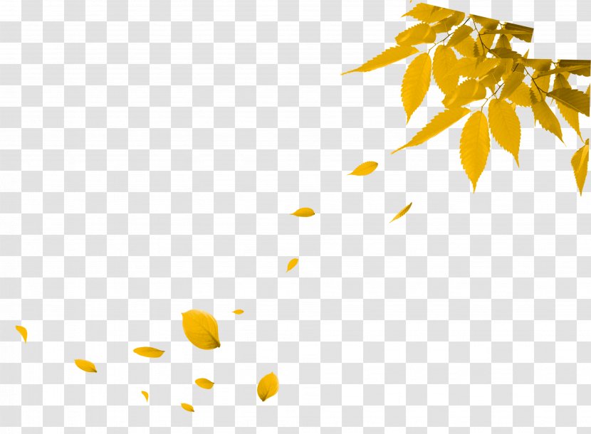 Autumn Leaf - Leaves Transparent PNG