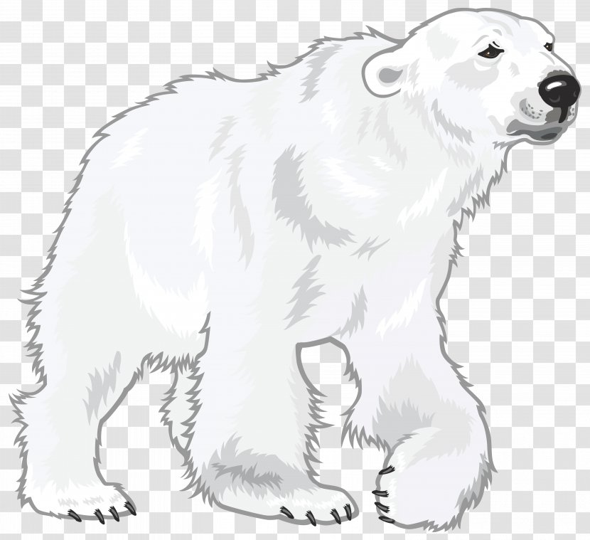 Polar Bear Great Pyrenees Regions Of Earth Download - Paw Transparent PNG