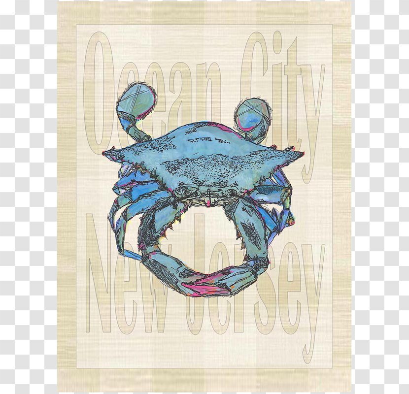 Dungeness Crab Turquoise - Organism Transparent PNG
