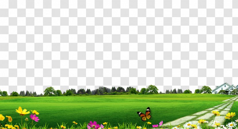 Download Lawn - Plant - Village Greens To Pull The Stone Material Free Transparent PNG