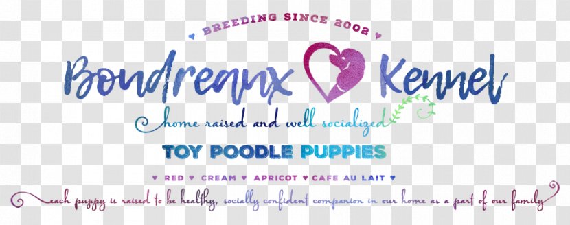 Banner Brand Logo Line - Text - Toy Poodle Transparent PNG