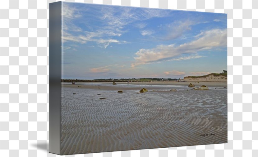 Shore Sea Tide Picture Frames Wood - Sand Transparent PNG