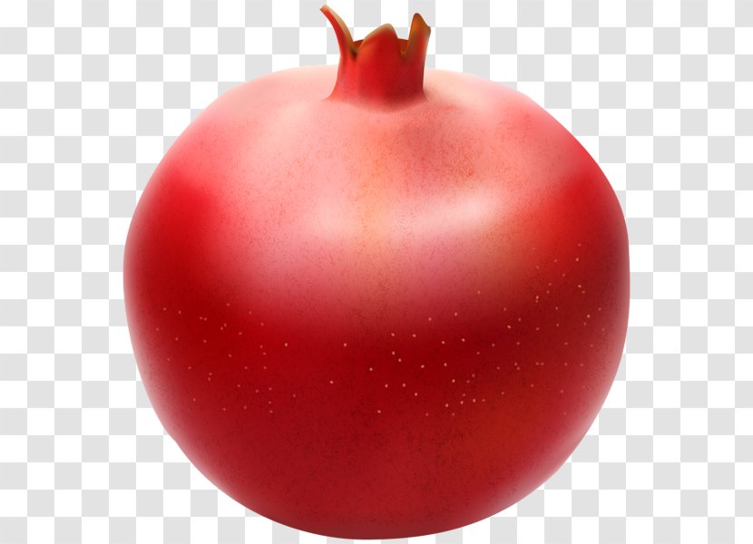 Pomegranate Fruit Clip Art - Apple Transparent PNG