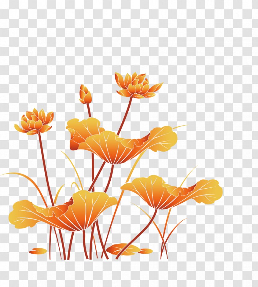 Sacred Lotus Download Image Design - Flora - Yellow Plant Transparent PNG