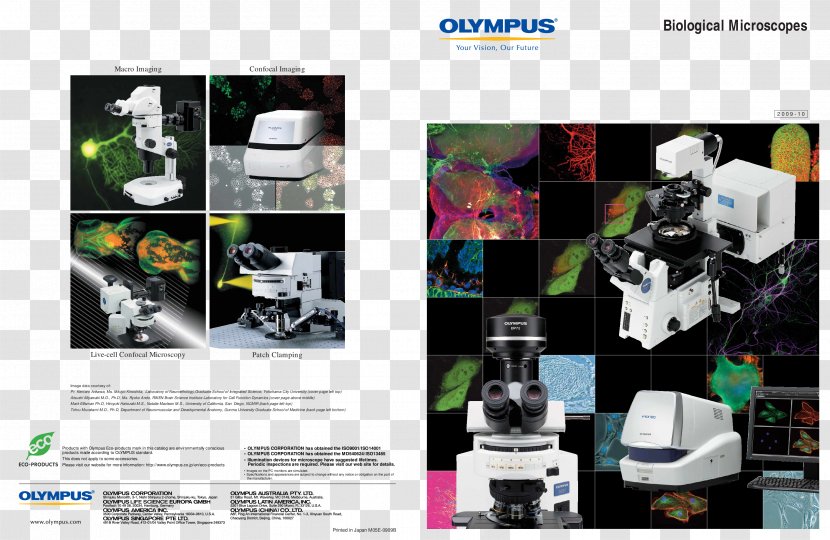 Optical Microscope Olympus Corporation Microscopy Inverted - Optische Abbildung - Biological Medicine Catalogue Transparent PNG