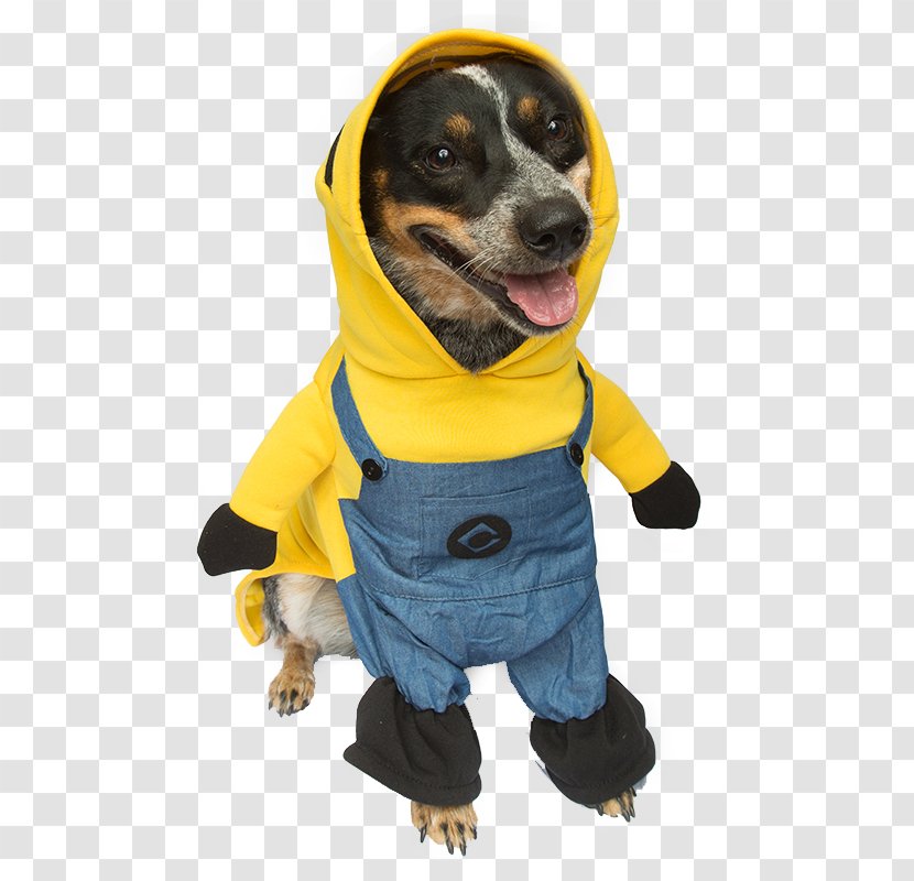 Dachshund Dog Breed Clothing Stitch Halloween Costume - Pug Transparent PNG
