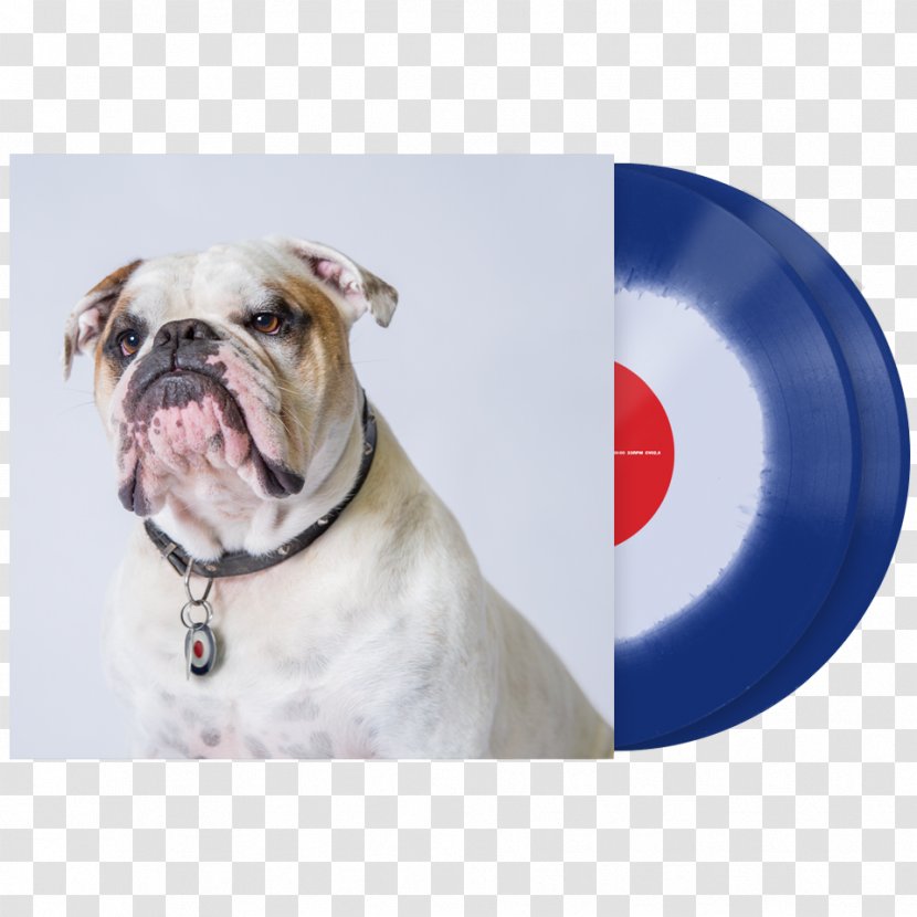 Dorset Olde Tyme Bulldogge American Bulldog English Serato Audio Research Vinyl Emulation Software - Old - Cover Transparent PNG