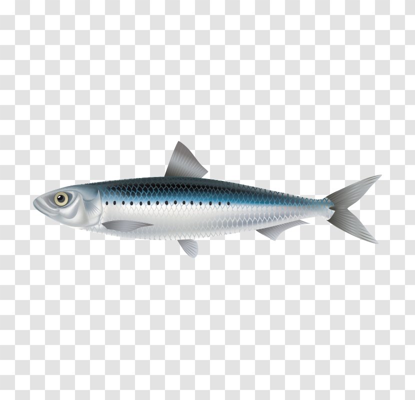 Sardine Crucian Carp Fish Mackerel - Fish,fish Transparent PNG