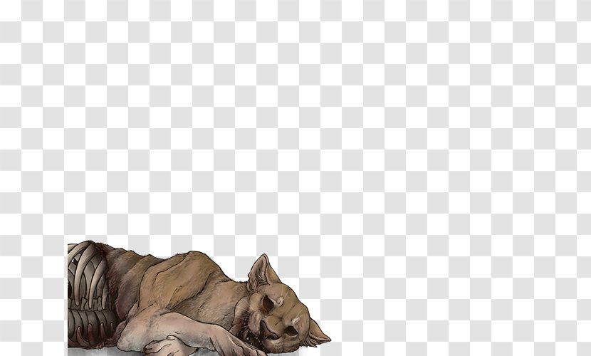 Cat Lion Canidae Dog Fur - Carnivoran Transparent PNG