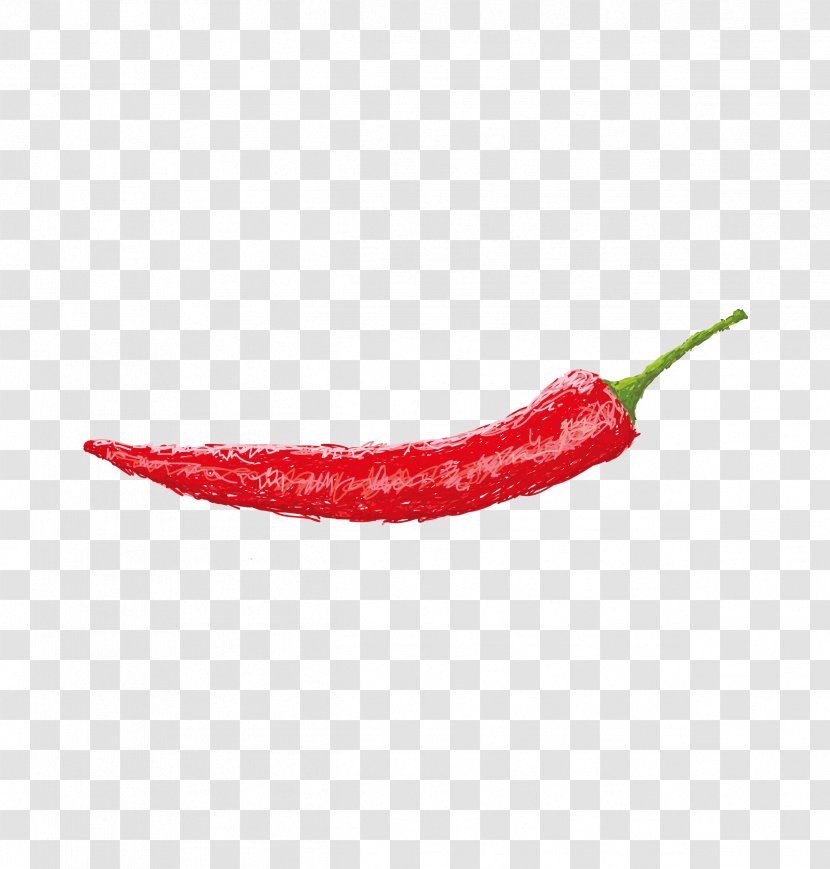 Chili Pepper Cayenne Peperoncino - Google Images - Hand-painted Red Transparent PNG
