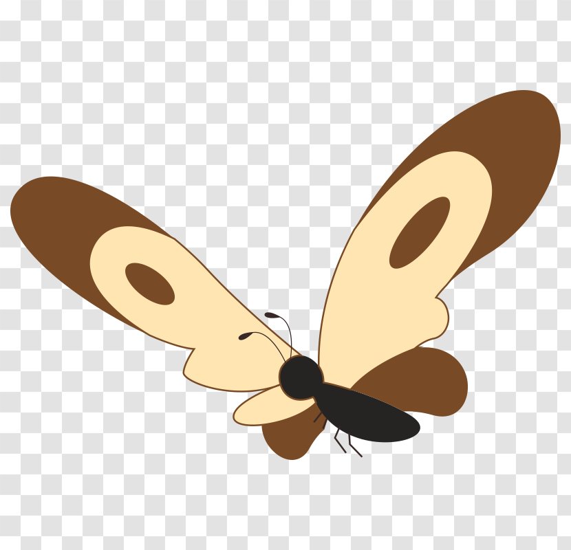 Butterfly Insect Clip Art - Fundal Transparent PNG